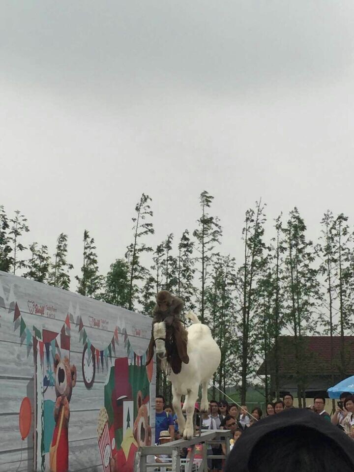 利来集团(中国)_来利国际w66俱乐部